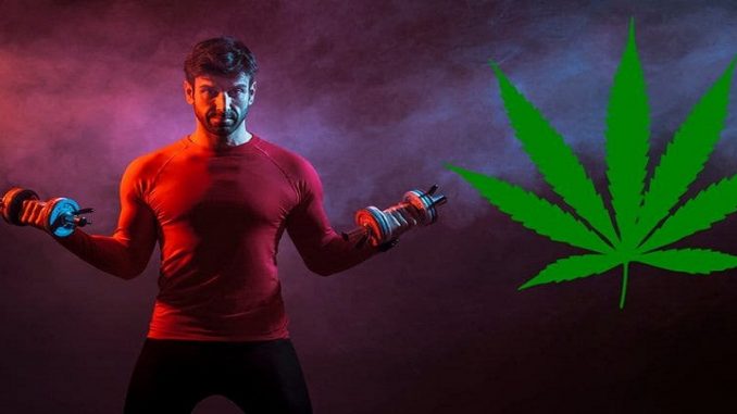 CBD-bon-pour-les-pratiquants-de-sport-intensif