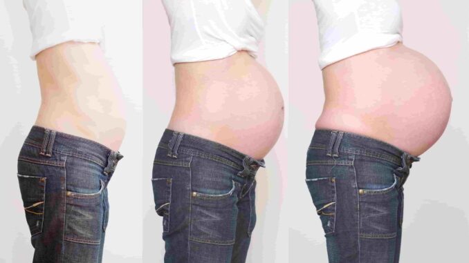 evolution-grossesse